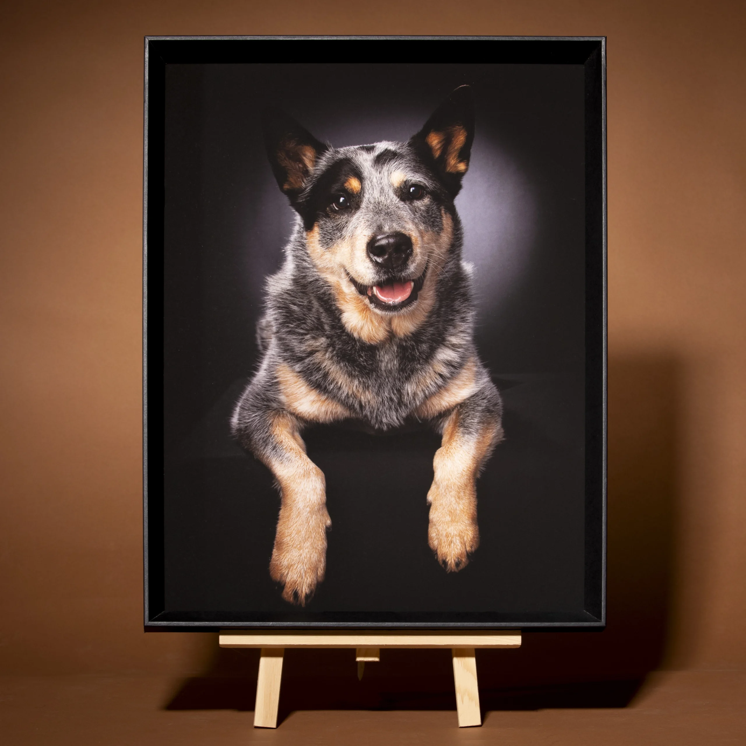 Tableaux chien Tableau encadré Tableau encadré chien Tableau de chien