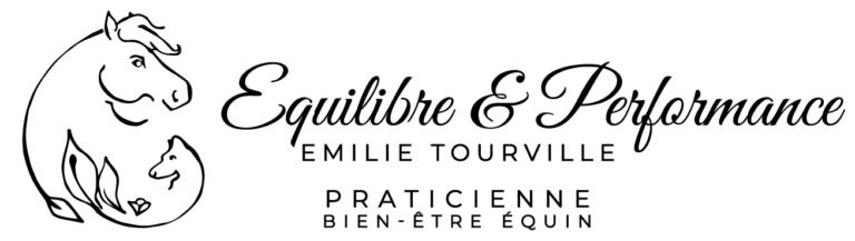 Massage equin