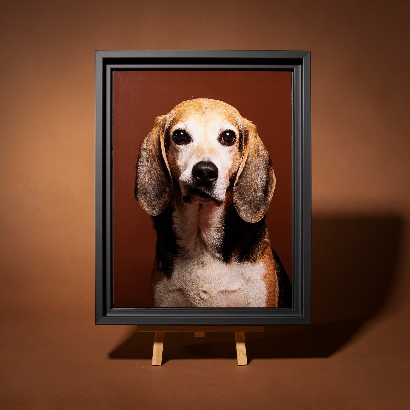 Tableaux d'art chien Tableaux chien Tableau local Photographie de chien