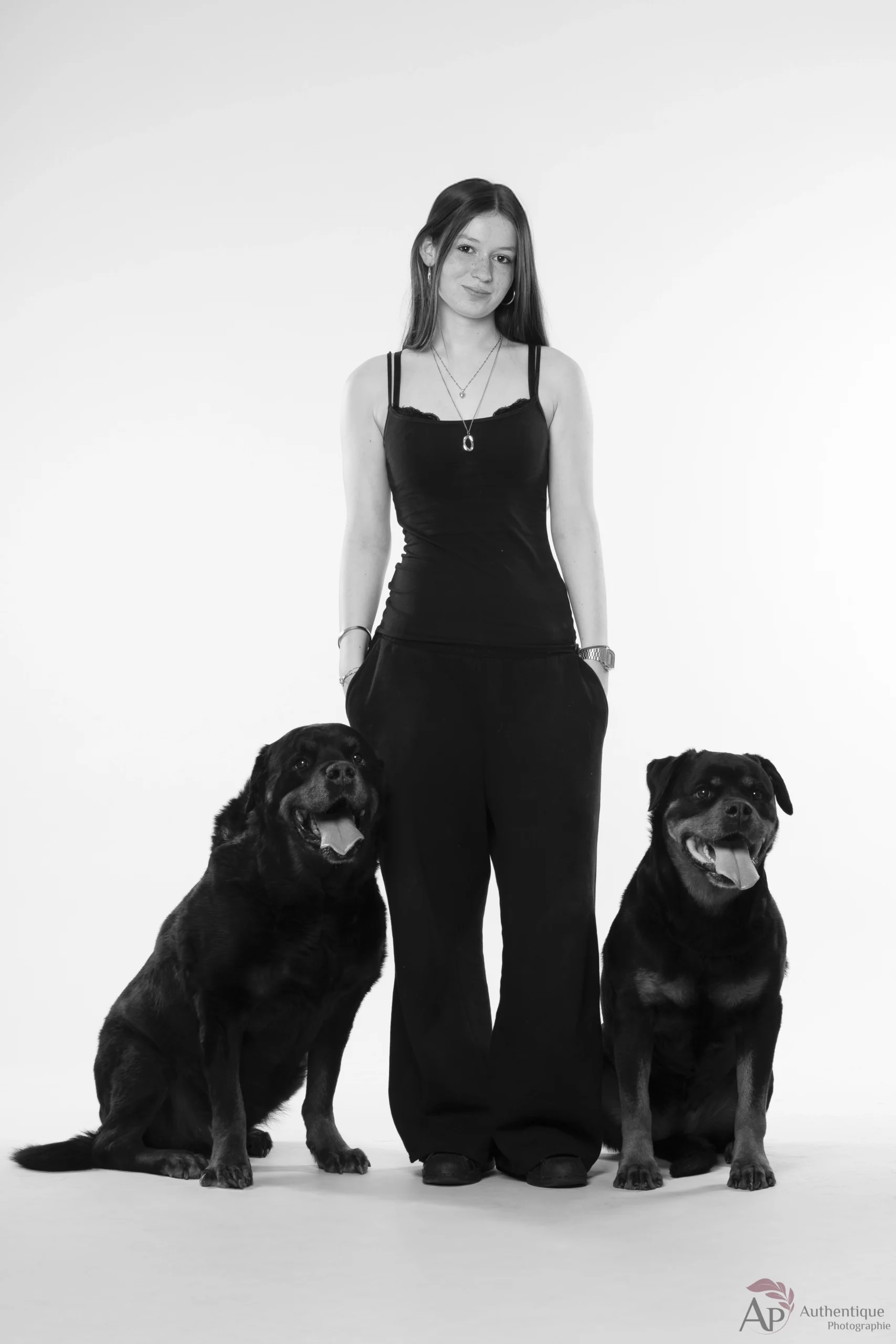 Photographe animalier en studio Photographe chien Photographe canin