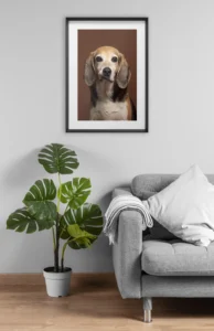 Portrait de chien Portrait de chat Portrait de cheval Chat mignon Chien mignon Photographe famille avec chien Tableau de chien
