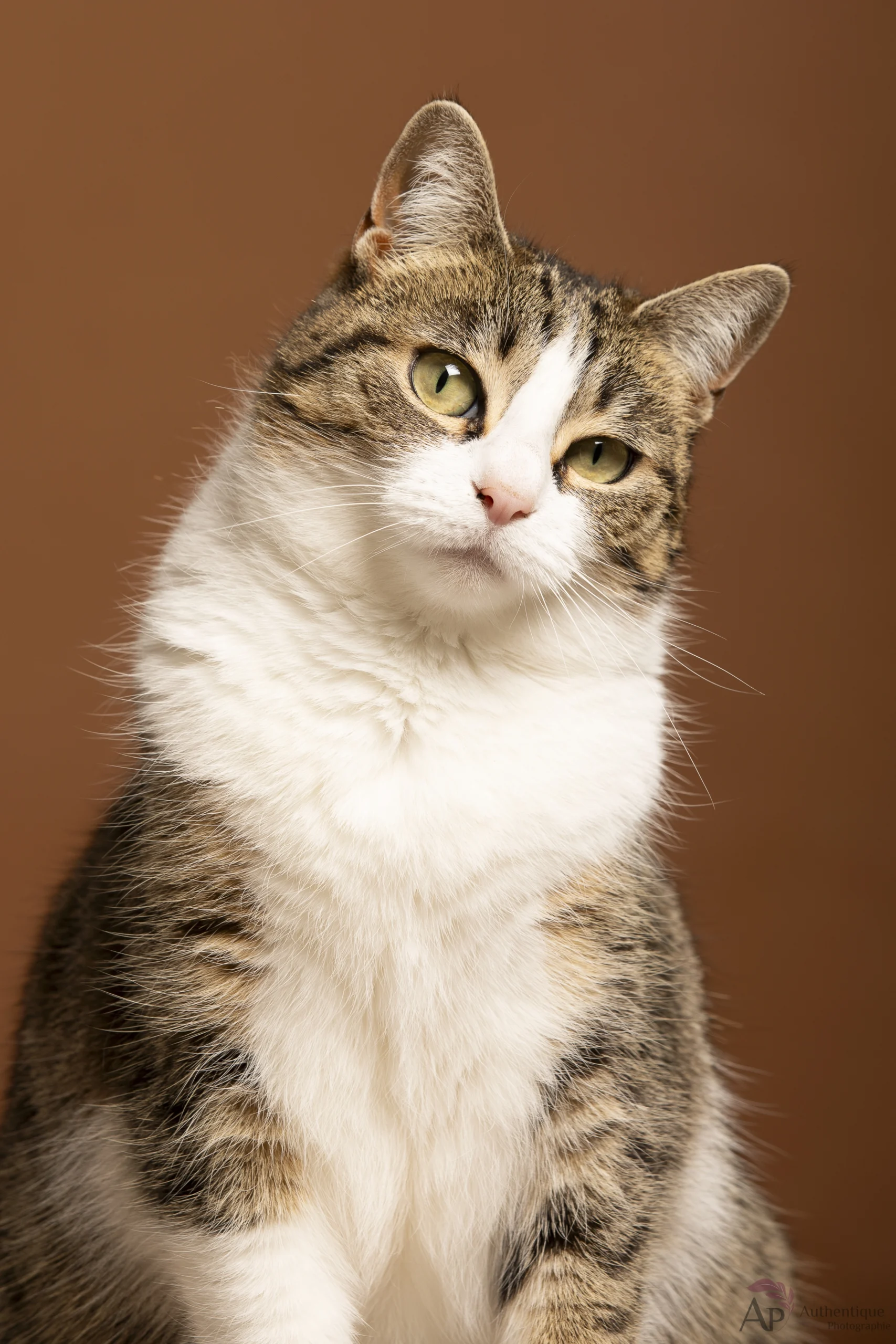 Photo-chat-a-domicile