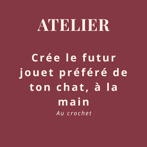 Atelier créatif pour les chats