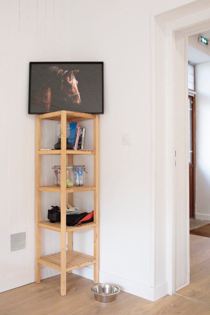 Studio de photographe pour chien à proximité de Lyon