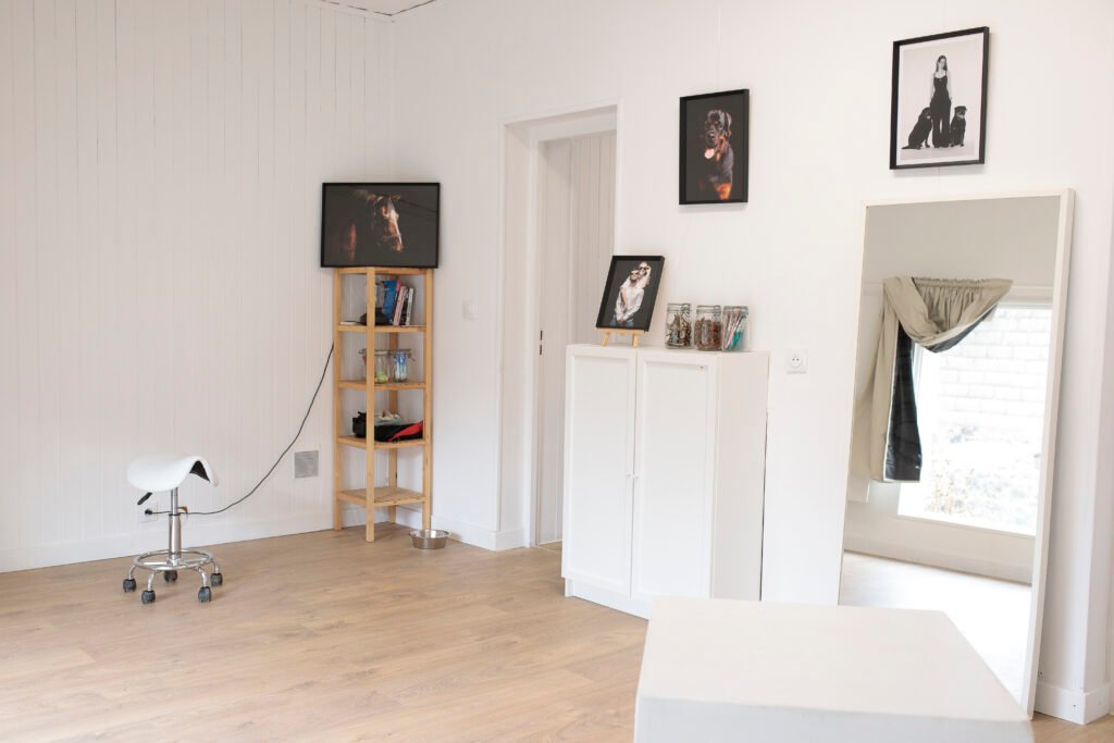 Studio photo pour les animaux de compagnie à proximité de Lyon