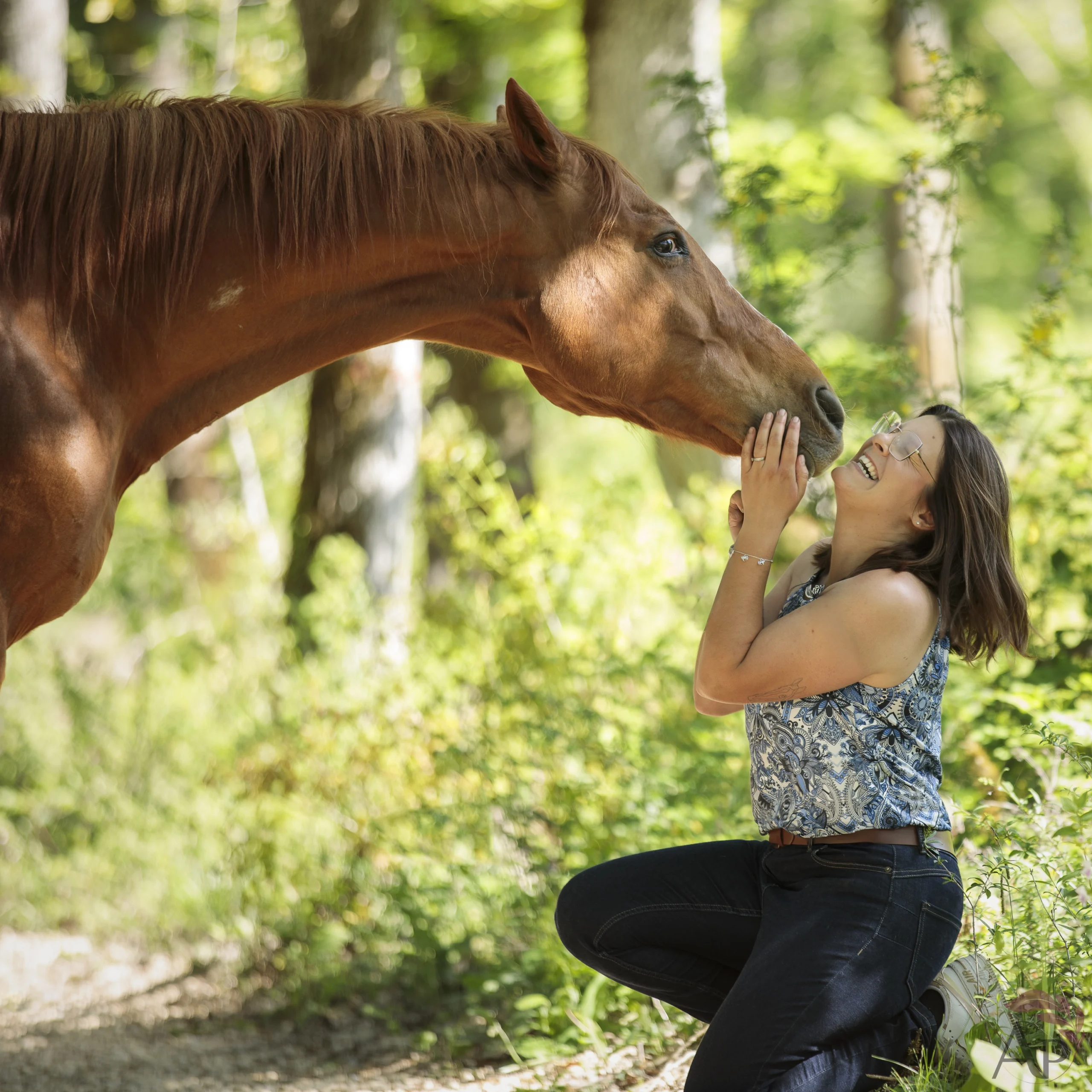 photographe-cheval-exterieur