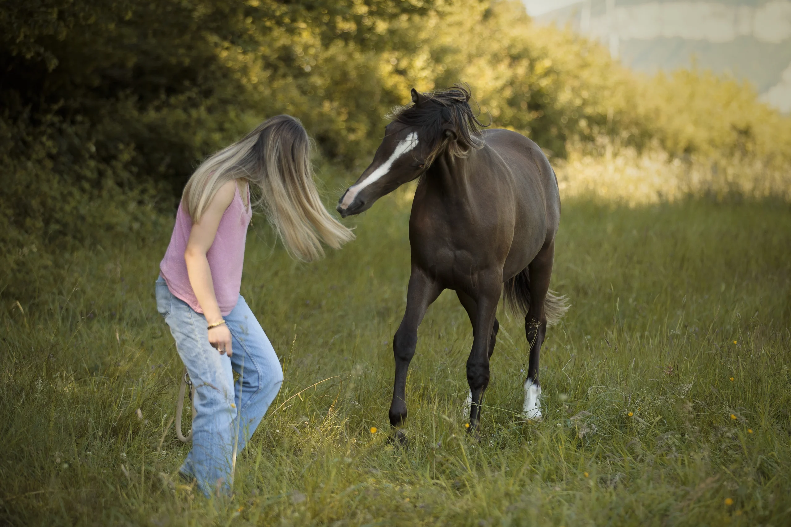 Photographe-cheval-humain