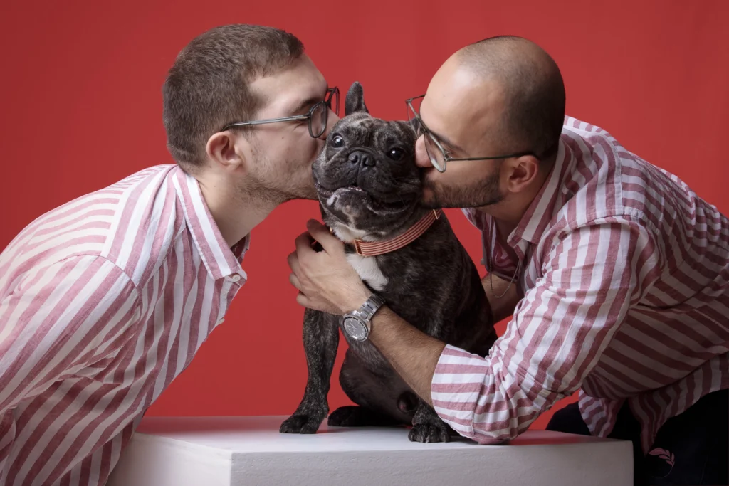 Photo d'un couple qui embrasse leur chien un bouldogue français Photo de chien en studio avec un couple